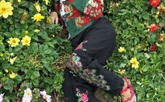 天天酷跑炫飞战车关